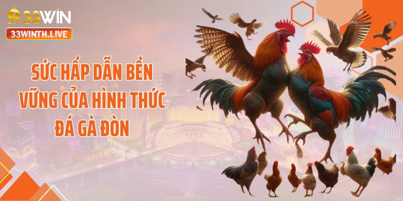 Sức hấp dẫn bền vững của hình thức đá gà đòn